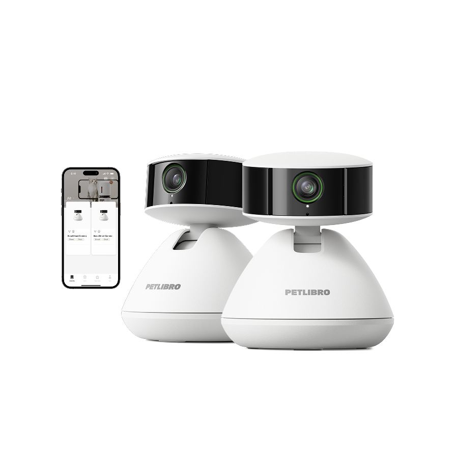 Caméra Intelligente Scout