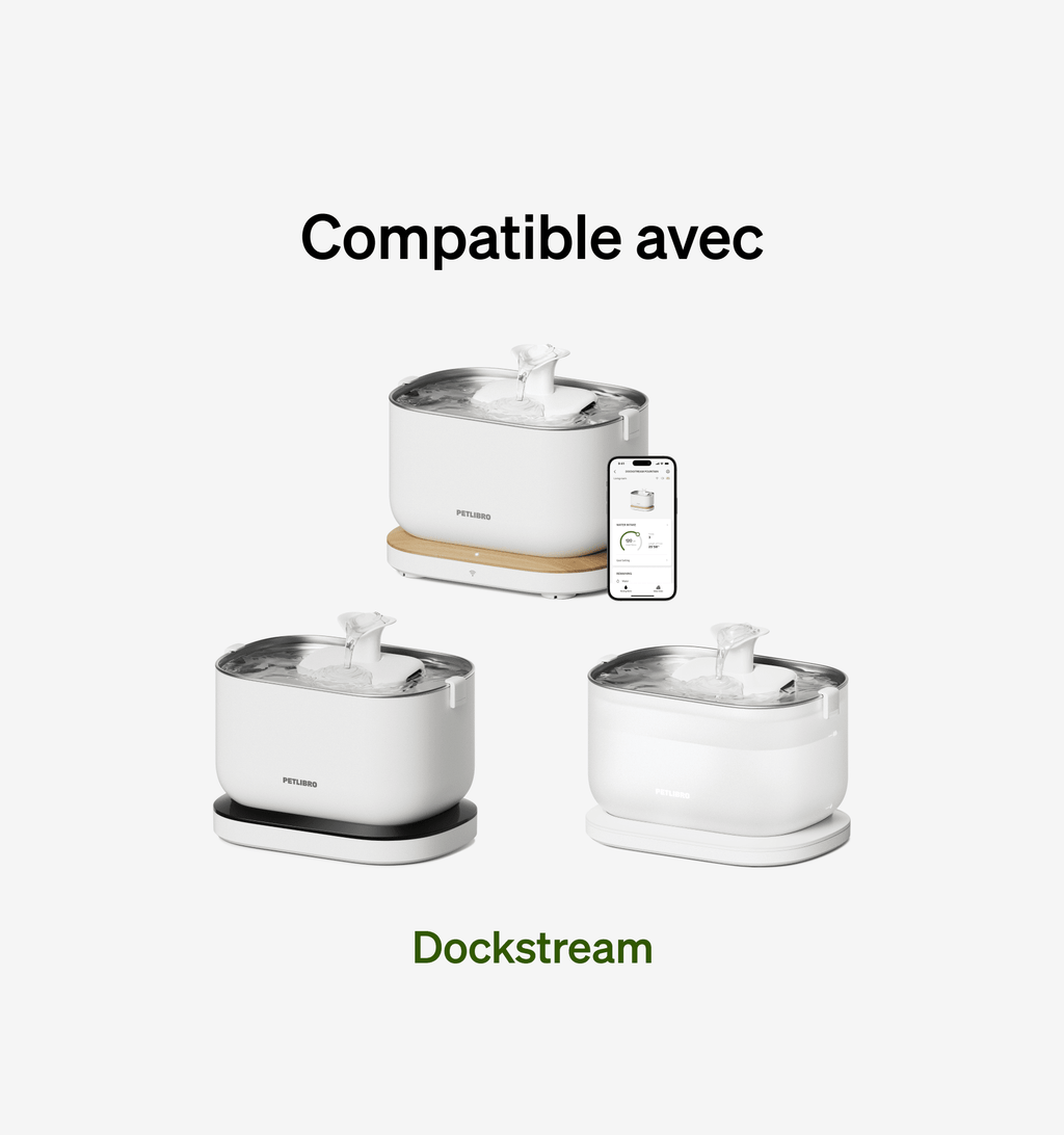 Dockstream Pompe De Remplacement Pour Fontaine