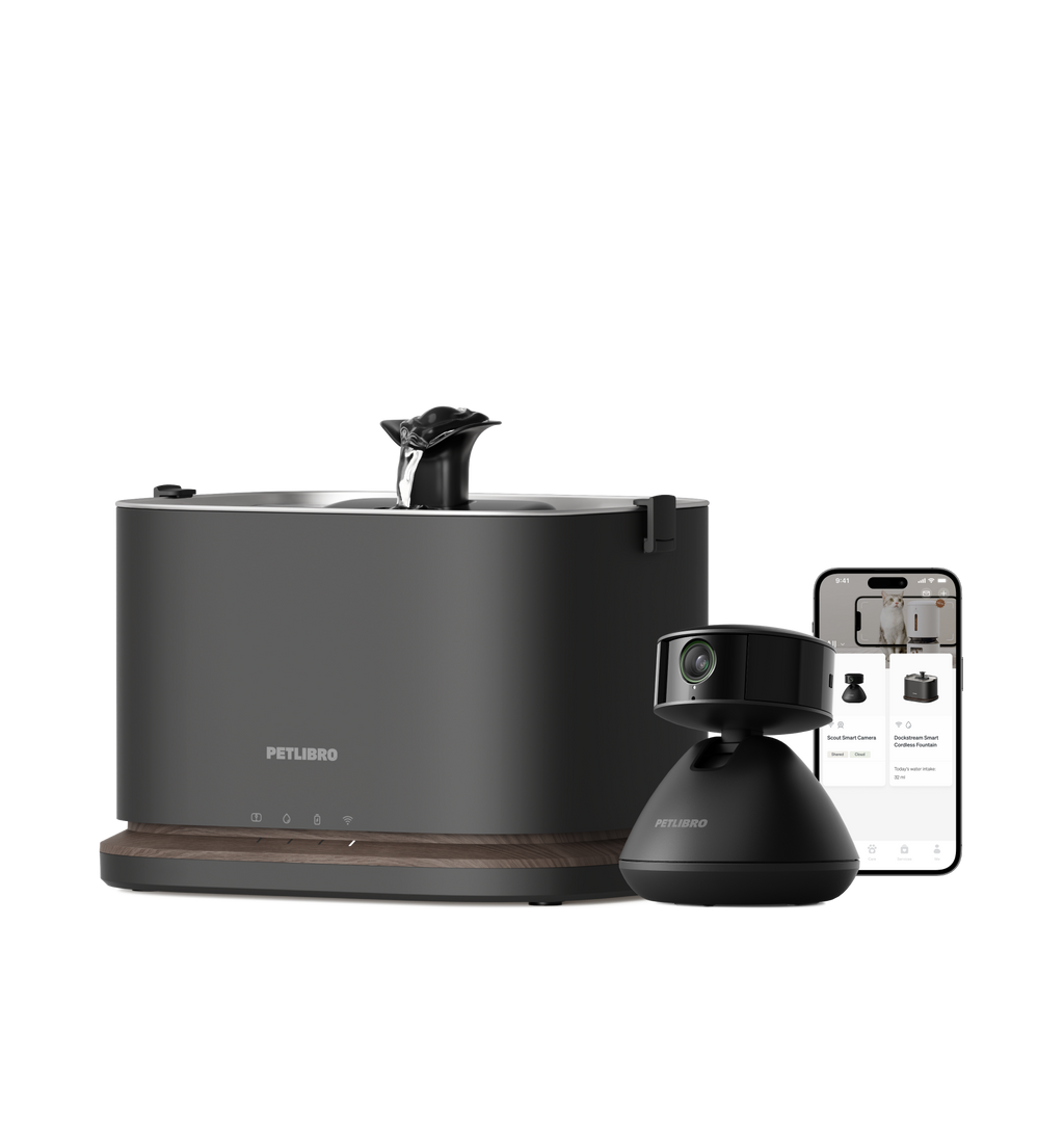 Caméra Intelligente Scout & Dockstream 2 Smarter Trinkbrunnen