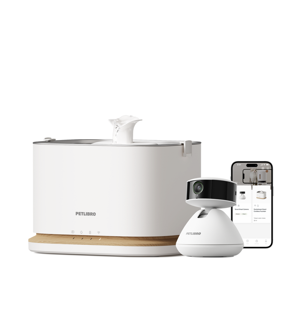 Caméra Intelligente Scout & Dockstream 2 Smarter Trinkbrunnen