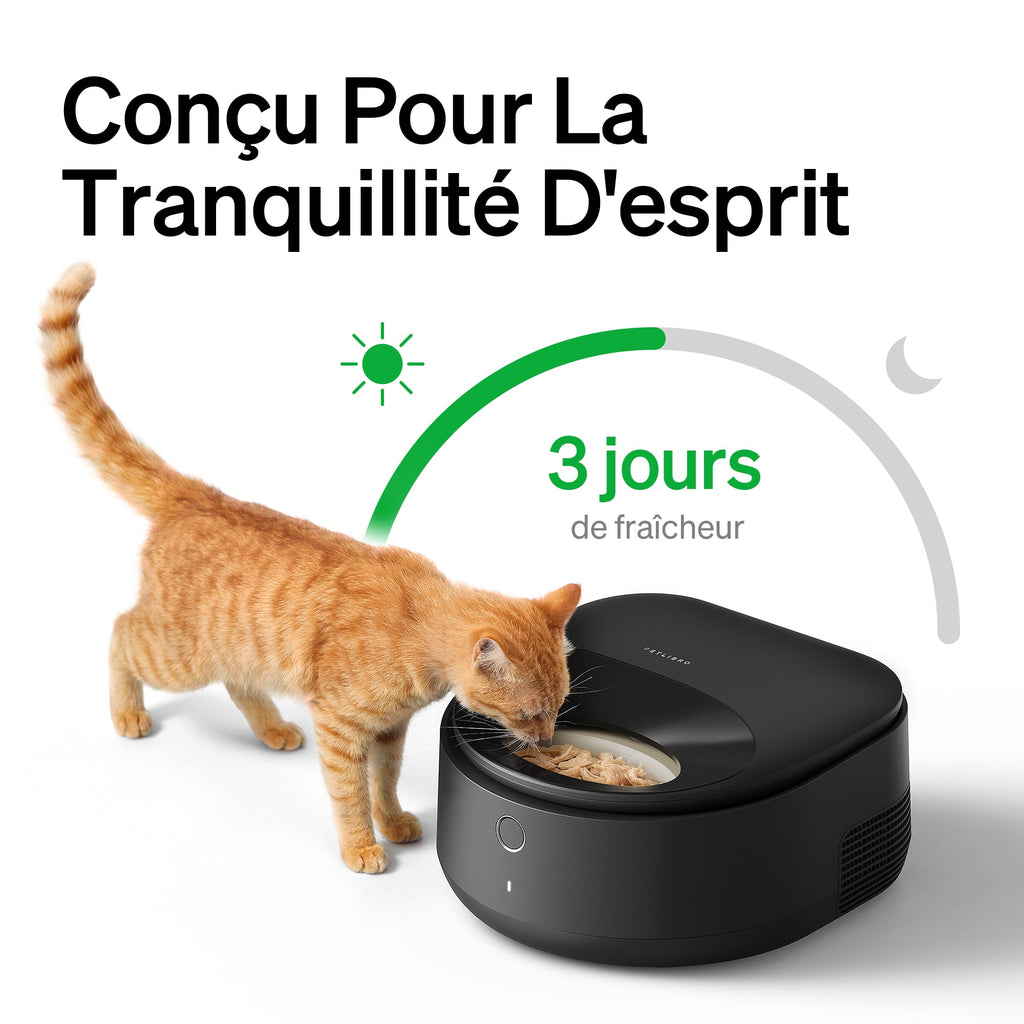 Distributeur intelligent de nourriture humide Polar