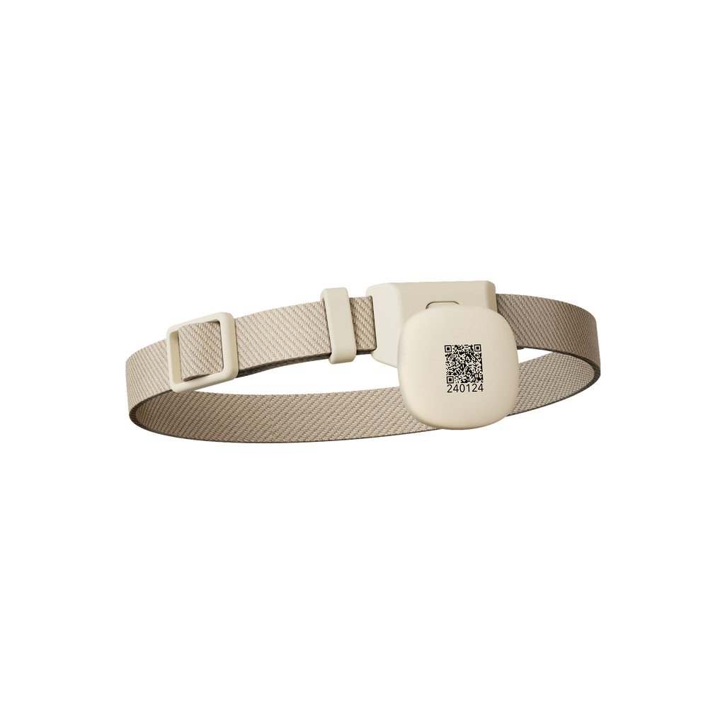 Collier avec médaillon RFID