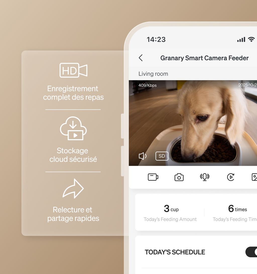 Petlibro Video Cloud