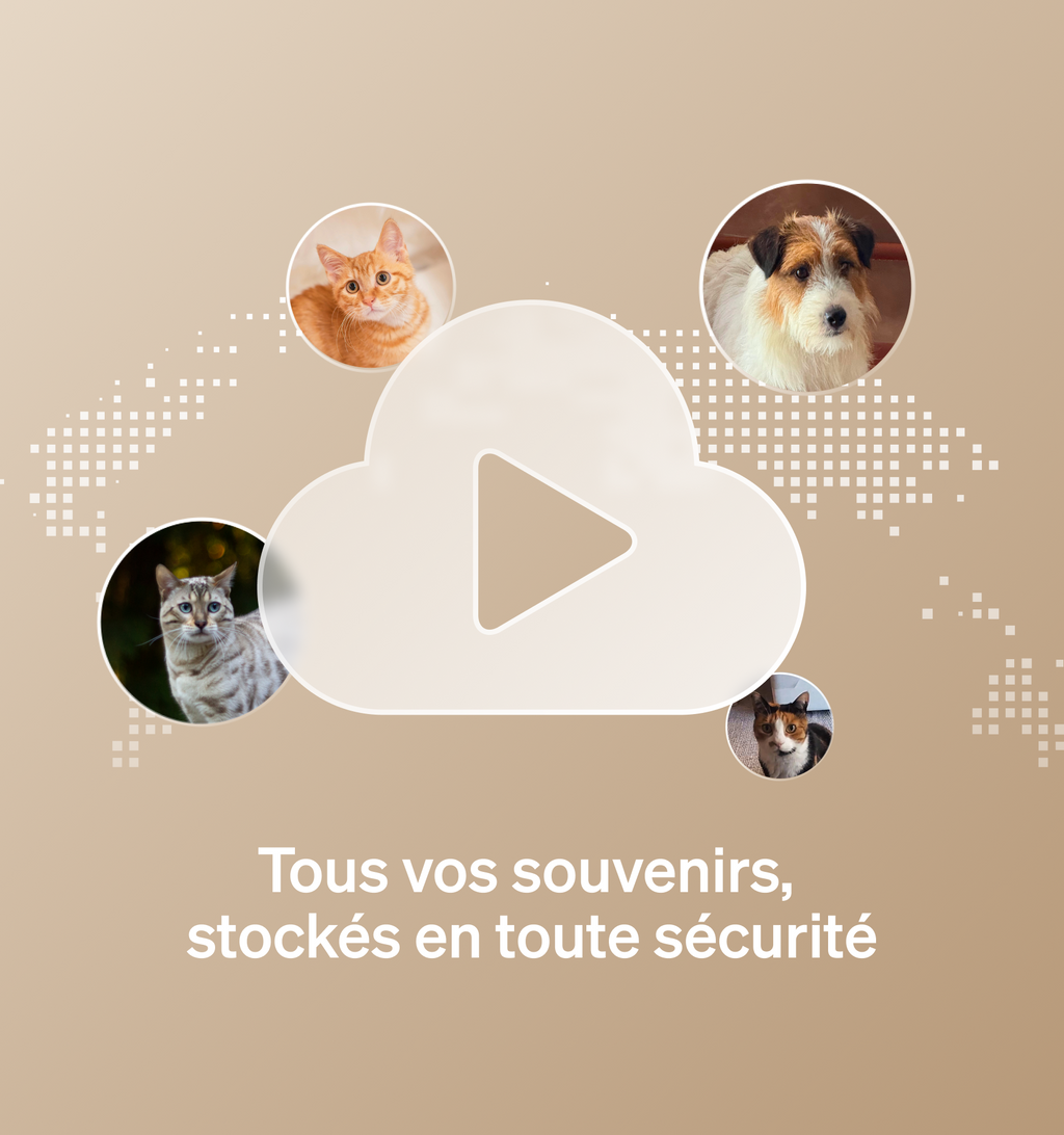 Petlibro Video Cloud