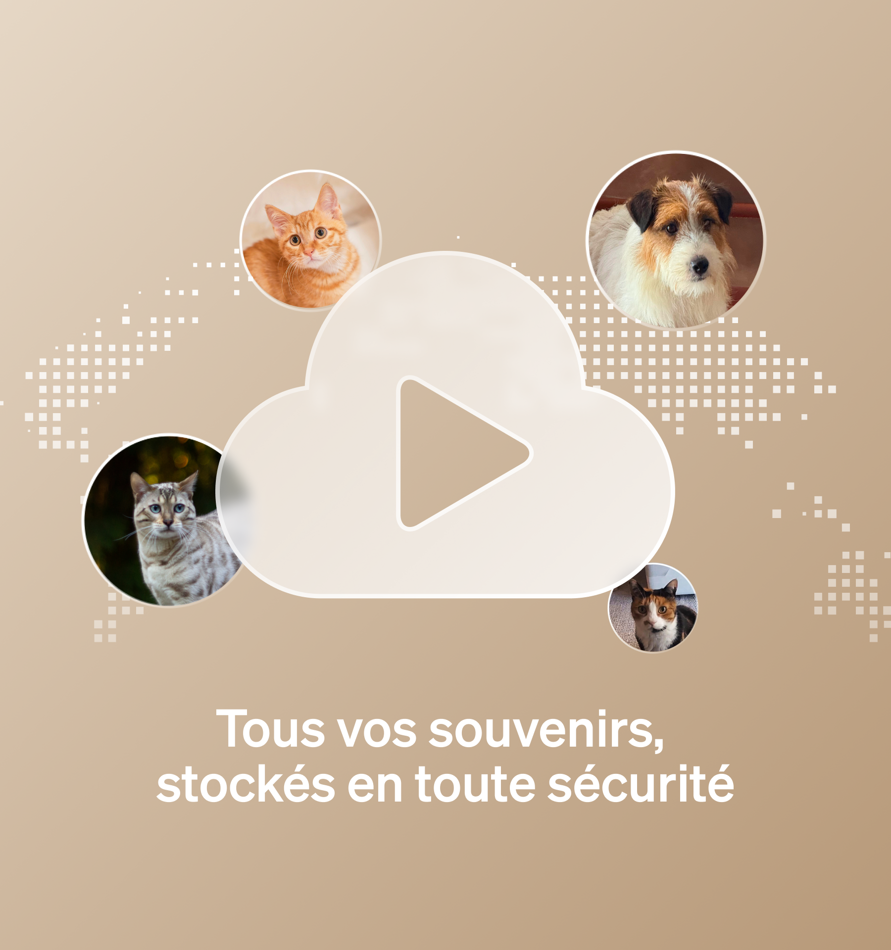 Petlibro Video Cloud