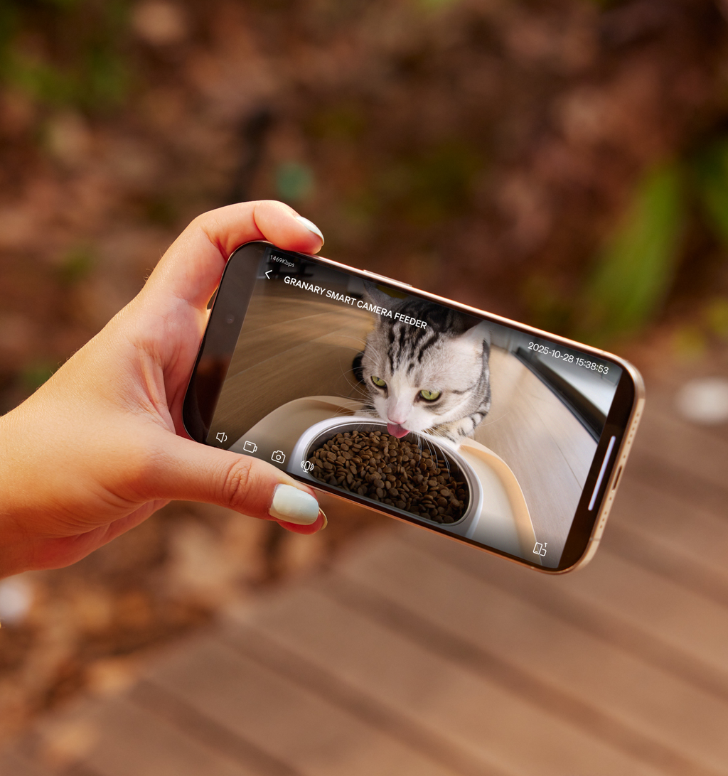 Petlibro Video Cloud