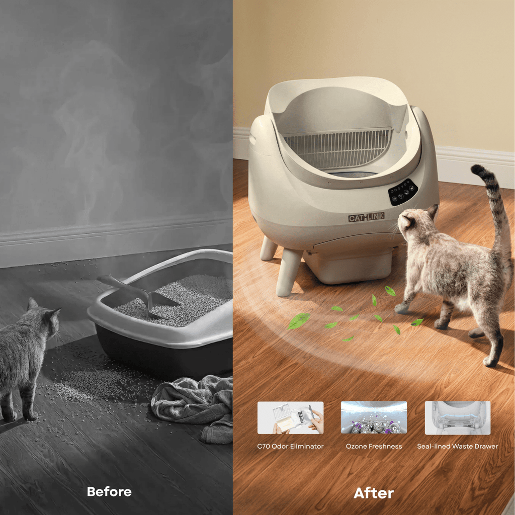 CATLINK Open-X Lite Open Top Self-cleaning Litter Box
