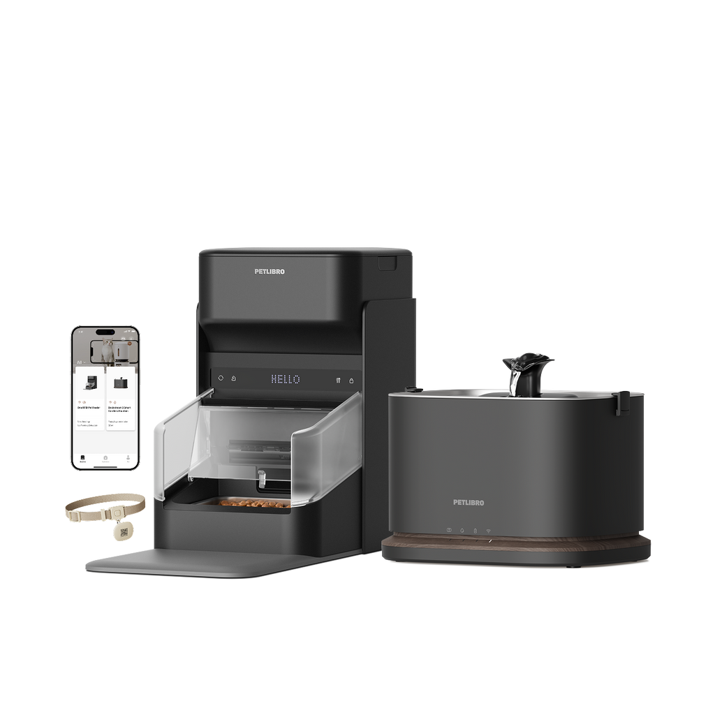 Distributeur intelligent RFID One & Fontaine à eau intelligente Dockstream 2 Sans fil