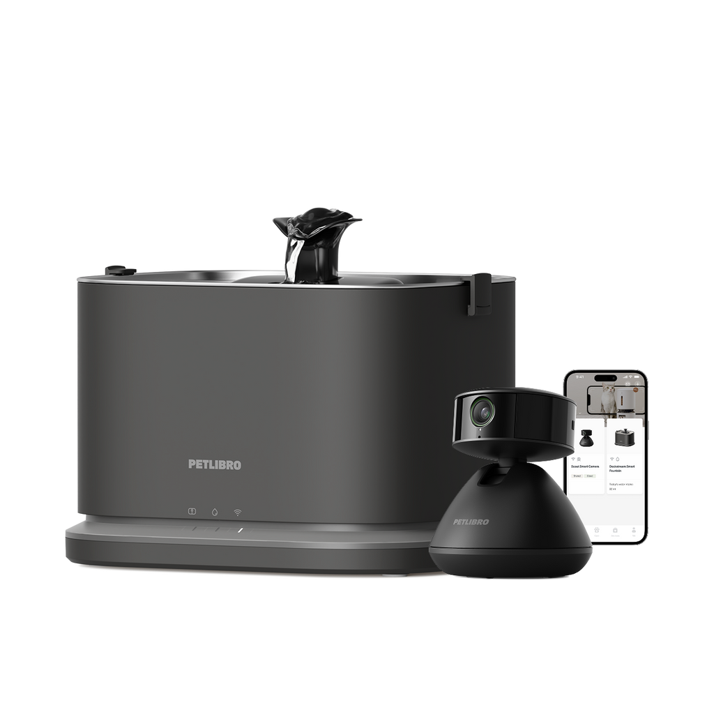 Caméra Intelligente Scout & Dockstream 2 Smarter Trinkbrunnen