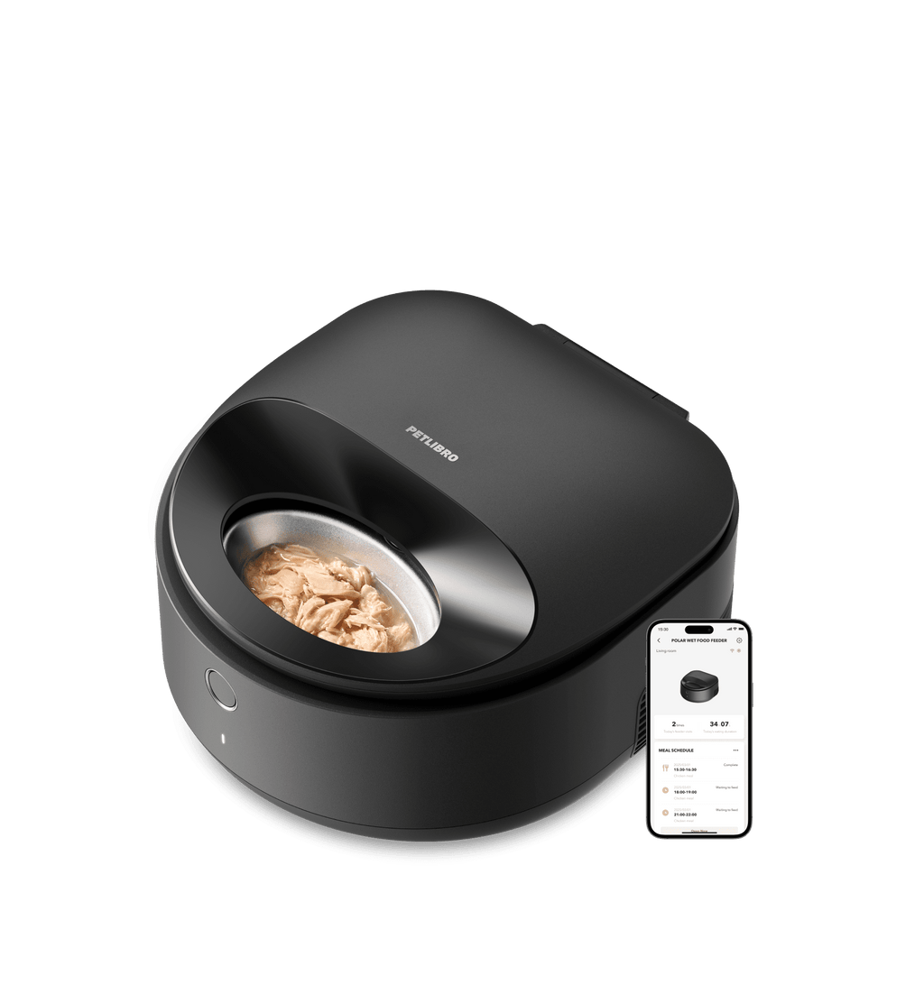Distributeur intelligent de nourriture humide Polar